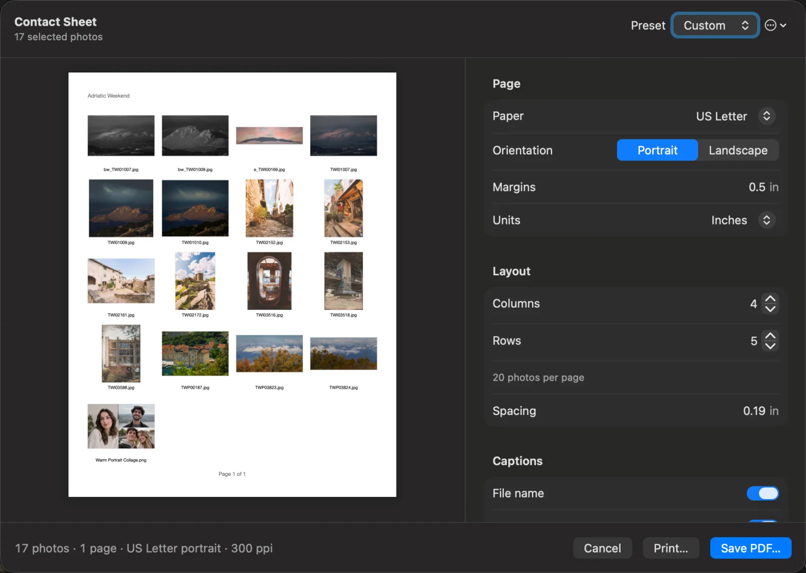 Contact Sheet: a live page preview with sixteen captioned thumbnails, and settings for paper, orientation, margins, columns, rows and captions, with Print and Save PDF buttons
